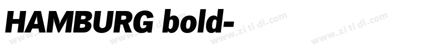 HAMBURG bold字体转换